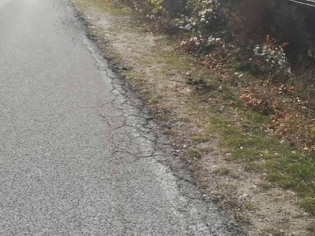 Viabilit e strade